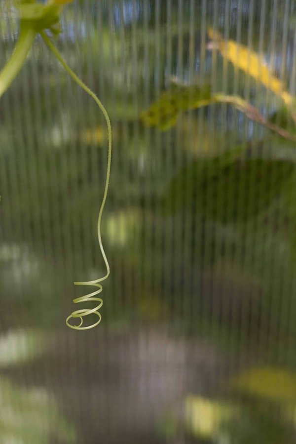 What Are the Best Strategies for Converting Office Spaces into Residential Units Due to Remote Work Trends?