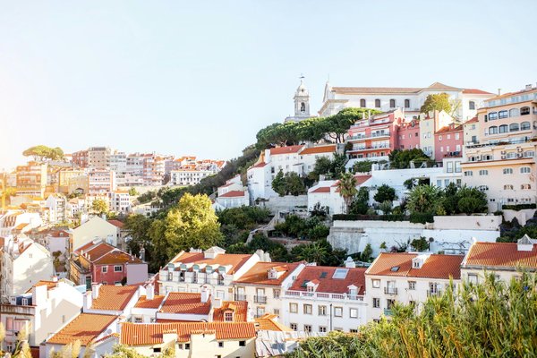 What are the strategies for success with a D8 visa in Portugal ?